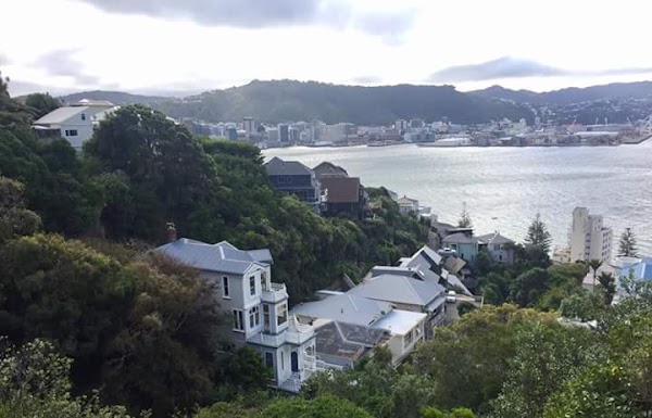 Wellington 5