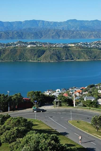 Wellington 4