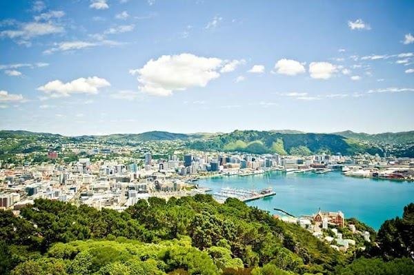 Wellington 3