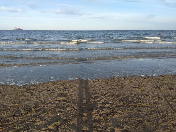 El Doradillo. Puerto Madryn 1