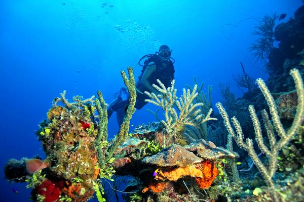 Andros Barrier Reef 4