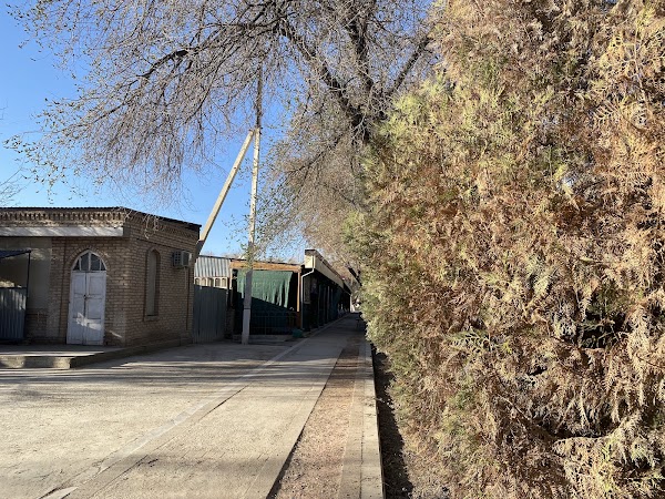 Central park hostel Khiva and tours to desert 1