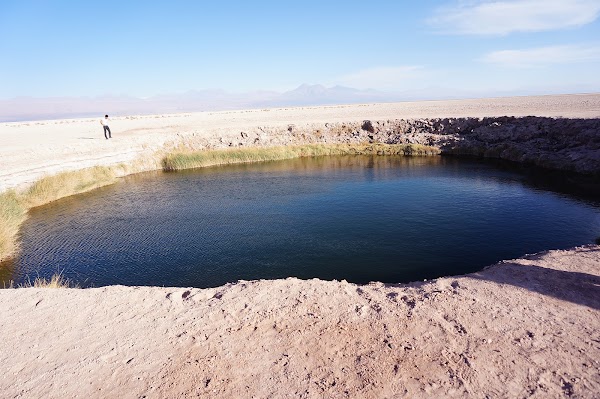 Salar de Atacama