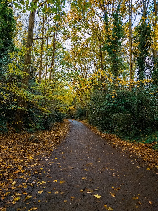 Parkland Walk 1