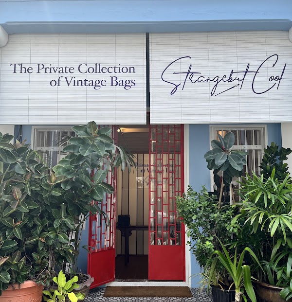 The Private Collection of Vintage Bags & StrangebutCool