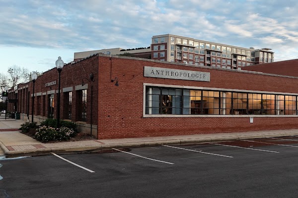 Anthropologie