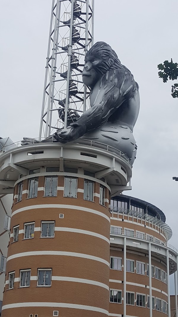 Apeldoorn 4