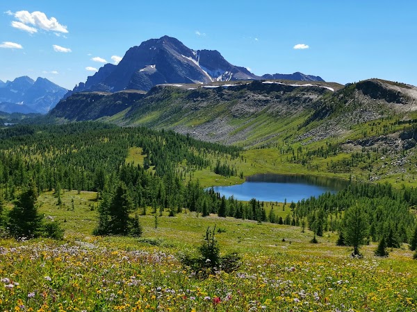 Healy Pass Trail