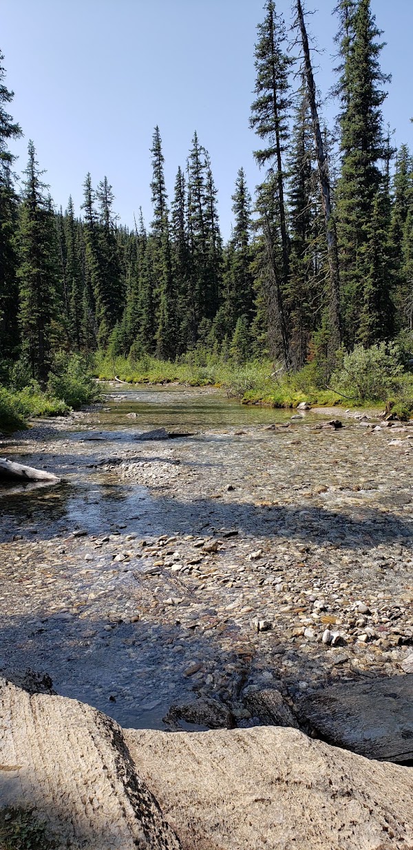Healy Pass Trail 2