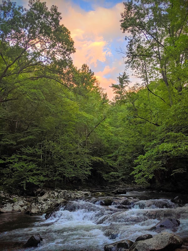 Spruce Flats Falls 4