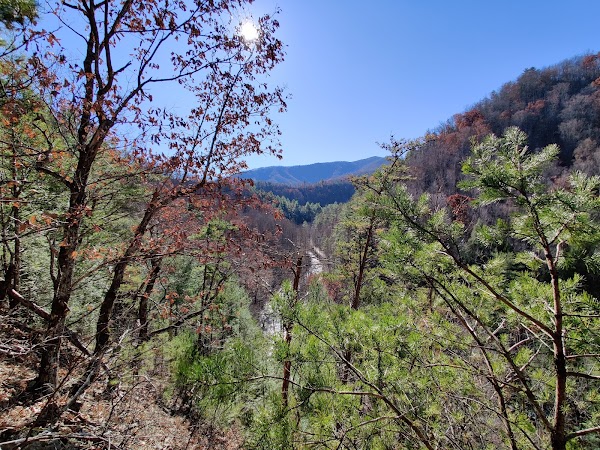 Spruce Flats Falls 3