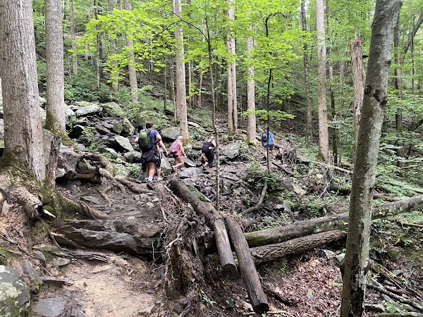 Spruce Flats Falls 2