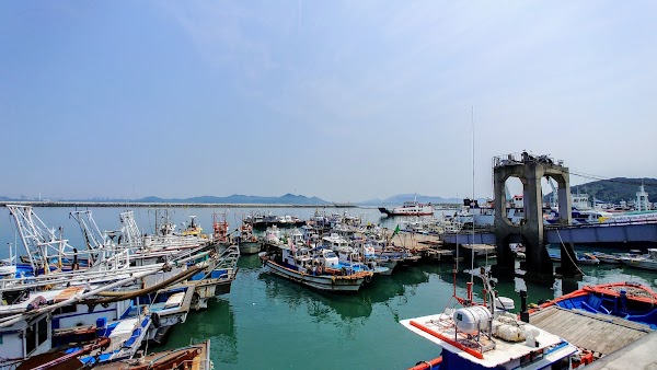 대천항 1