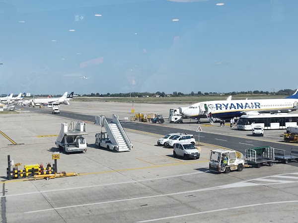 Bologna Guglielmo Marconi Airport 3