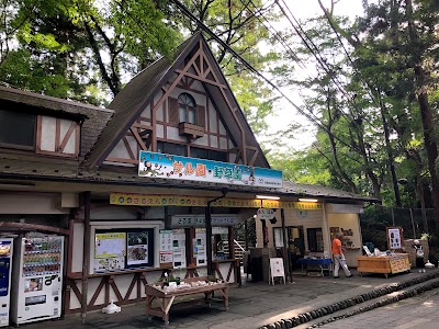 Mt Takao Monkey Park & Wildflower Garden