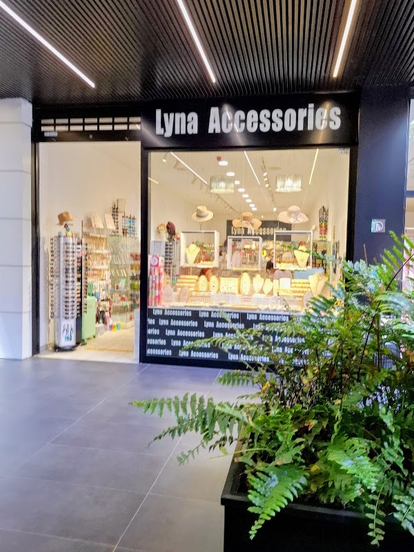 Lyna Accessories 1