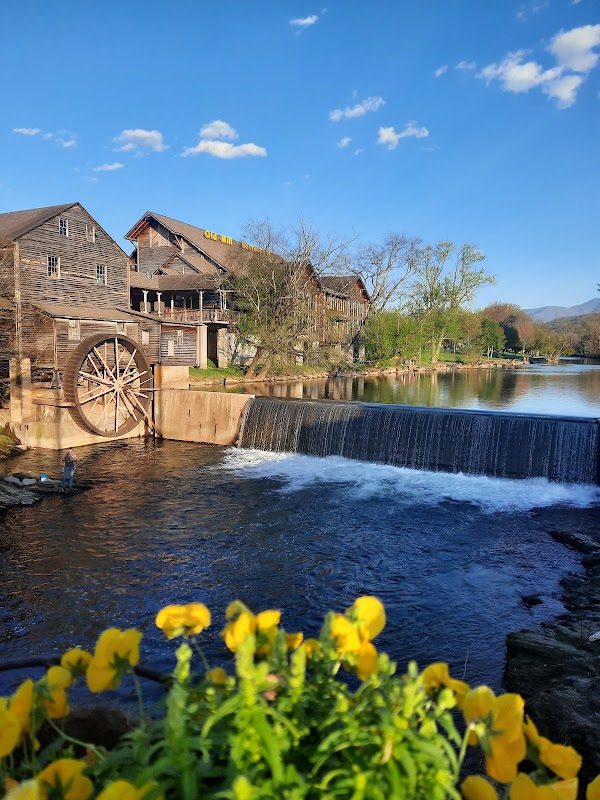 Pigeon Forge 5