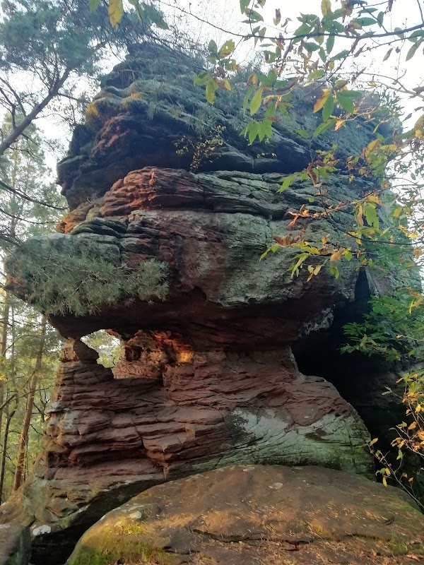 Palatinate Forest 1