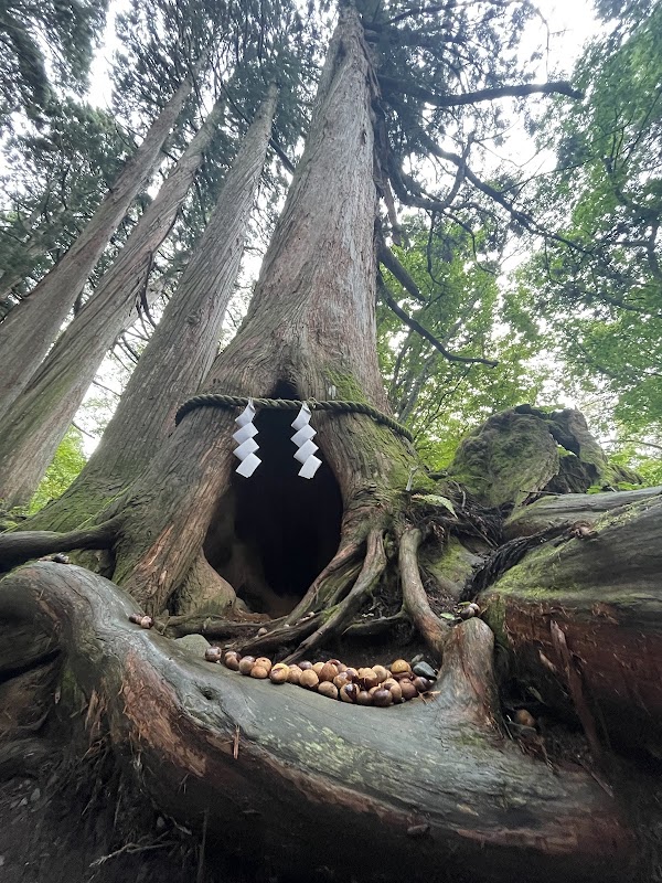 Upper Togakushi Shrine 3