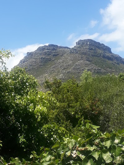 CONSTANTIA WINE ROUTE