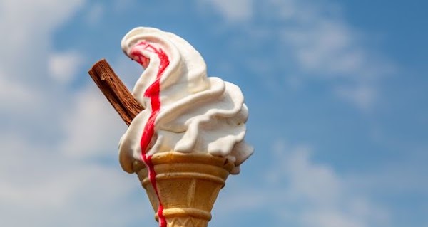TEDDY'S Ice Cream 5