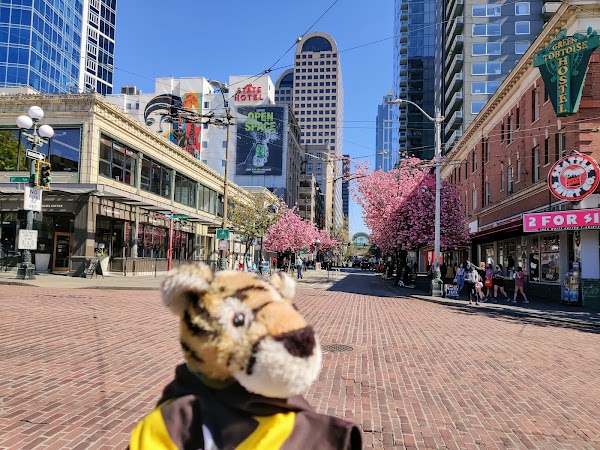 Pike Place Market 4