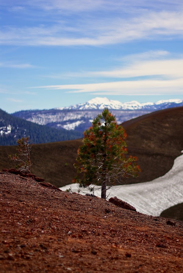 Cinder Cone 2