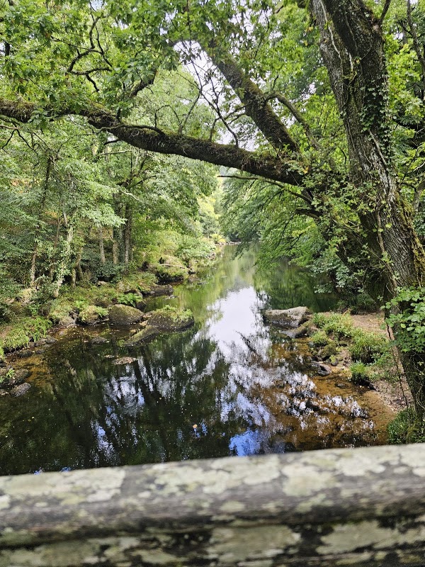 National Trust - Fingle Bridge 4