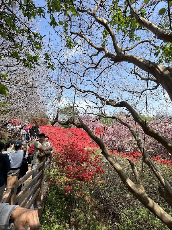 완산칠봉꽃동산 2
