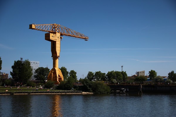 Grue Titan Jaune