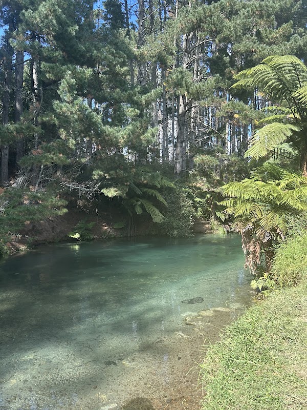 Te Waihou (Whites Road) Car Park 3