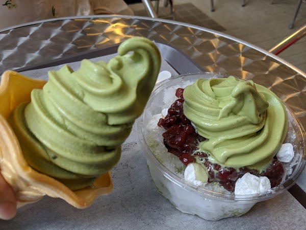 대한다원 보성녹차밭 3