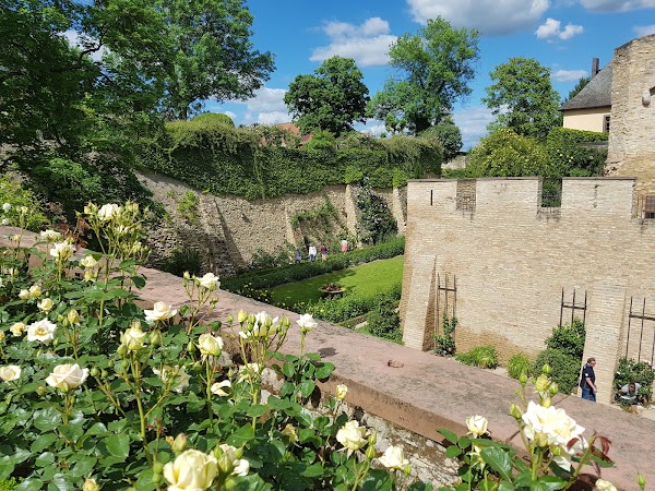 Eltville 5