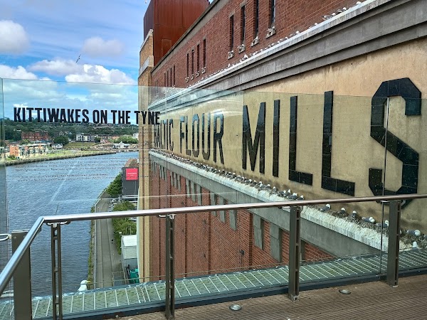 Baltic Centre for Contemporary Art 5