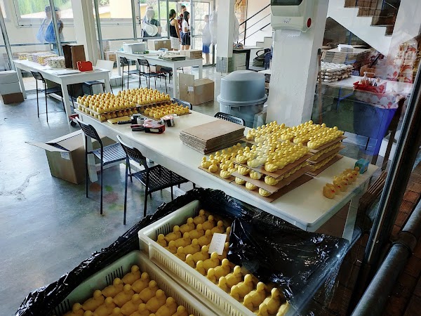 Parfumerie Fragonard - L'usine Laboratoire Èze - Visite Gratuite & Guidée 4