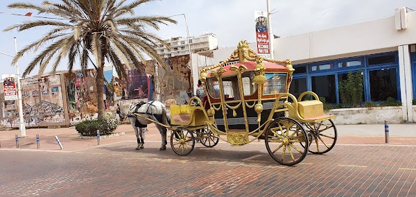 Agadir 5