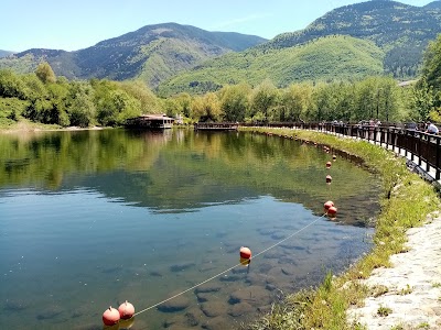Rila