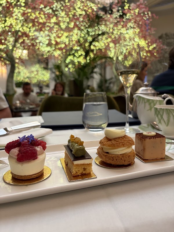 Palm Court 4
