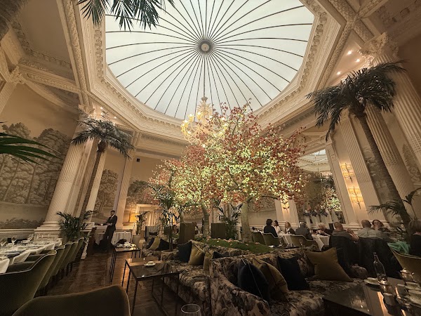Palm Court 3