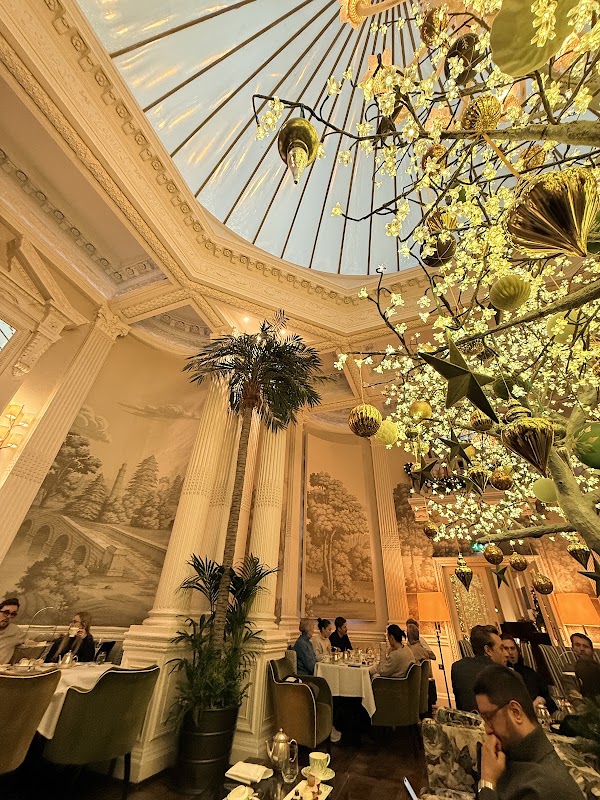 Palm Court 2