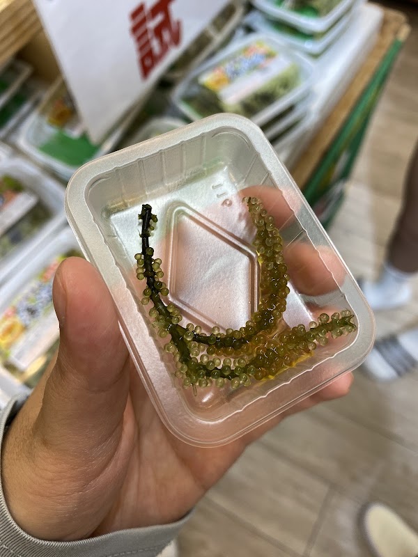 GIFT SHOPPERS OKINAWA 4
