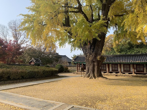 Jeonju Hyanggyo 3
