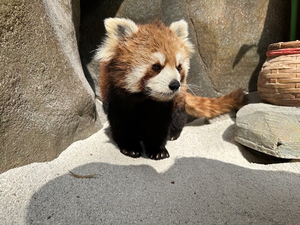Beijing Wildlife Park 5