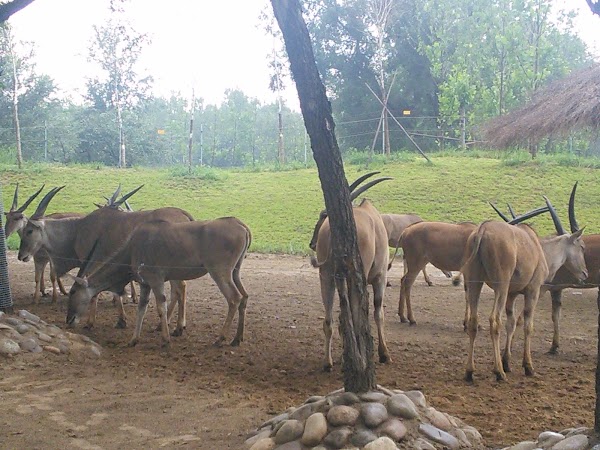 Beijing Wildlife Park 4