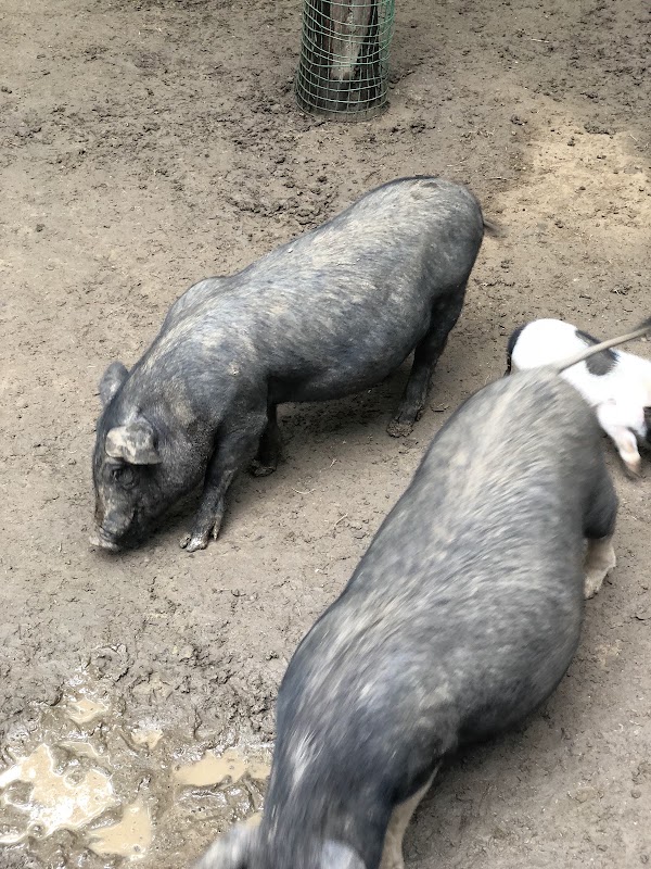 Beijing Wildlife Park 2