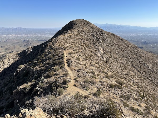 Wasson Peak