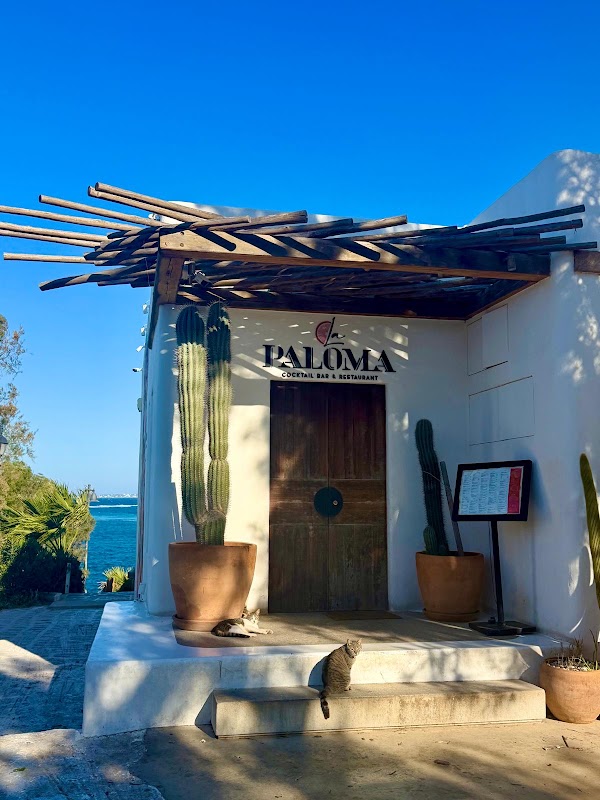 La Paloma cocktail bar & restaurant