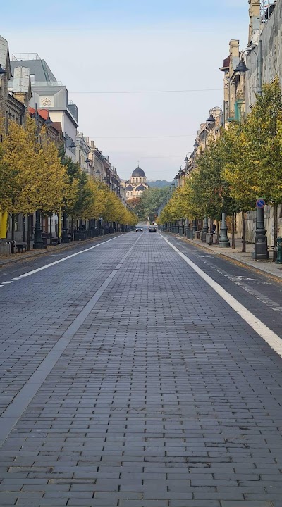 Gediminas Avenue