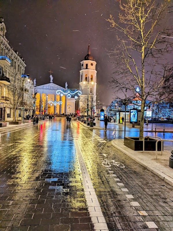 Gediminas Avenue 5
