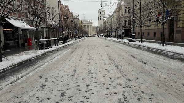 Gediminas Avenue 4